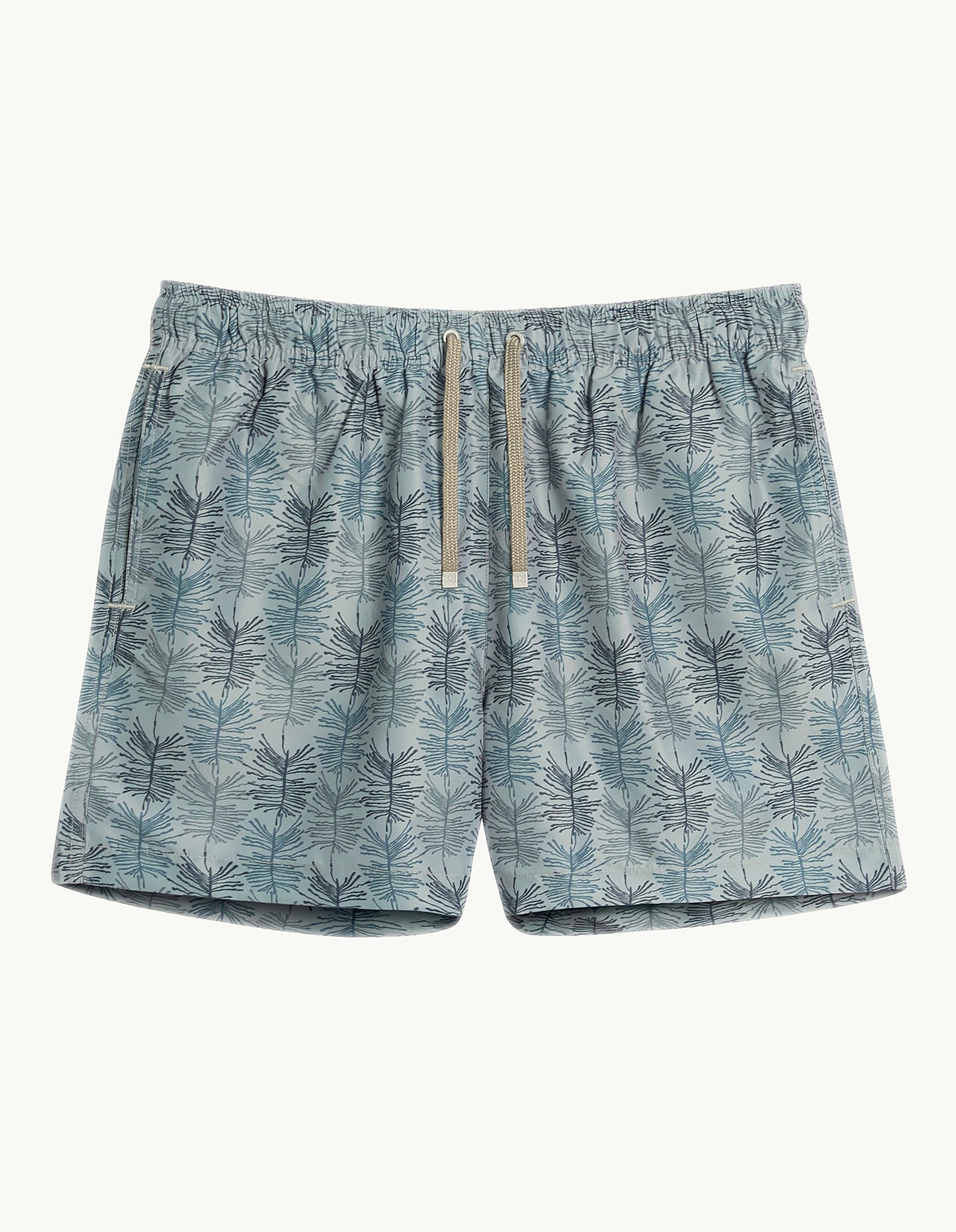 ASTER MID LENGTH