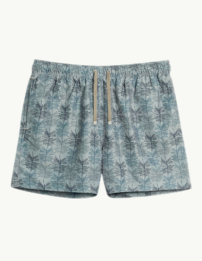 ASTER MID LENGTH