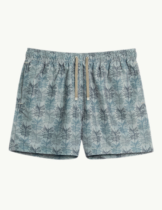ASTER MID LENGTH